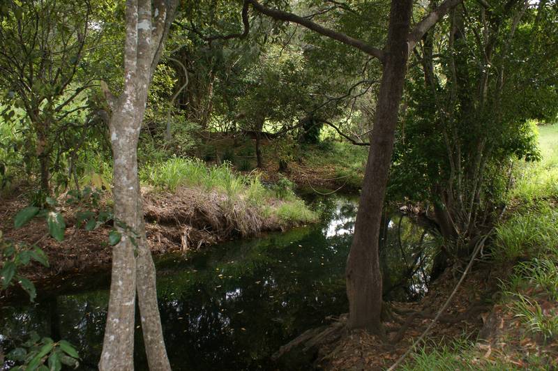 Tranquil Bushland Setting Picture 3