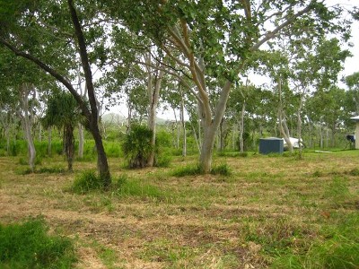 Grasstree Beach Land Picture