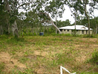 Grasstree Beach Land Picture