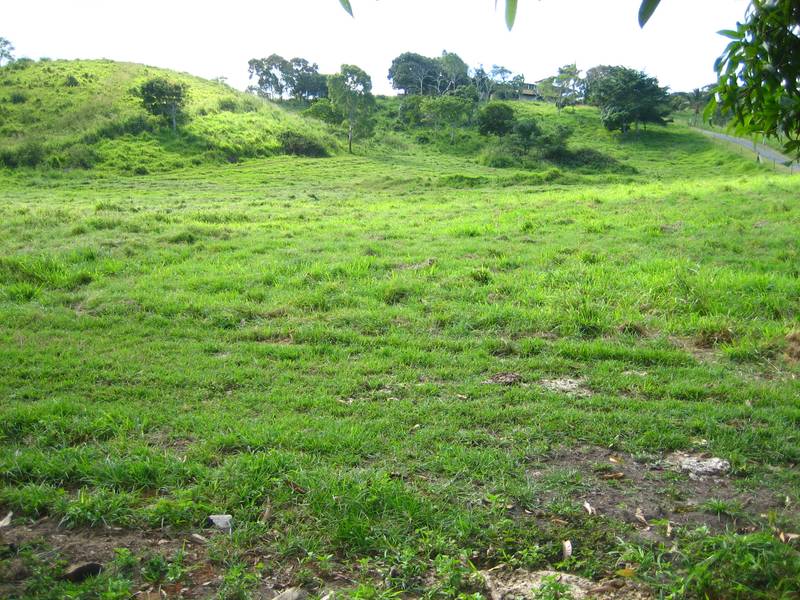 2.5 Acre Vacant Block Picture 2