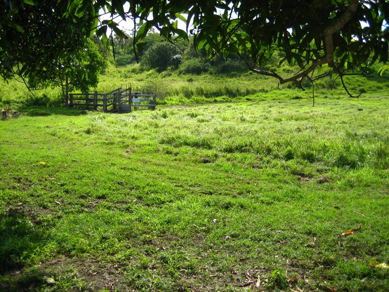 2.5 Acre Vacant Block Picture 3