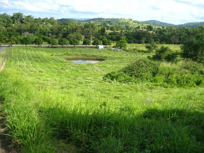 2.5 Acre Vacant Block Picture