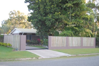 Like No Other Picture