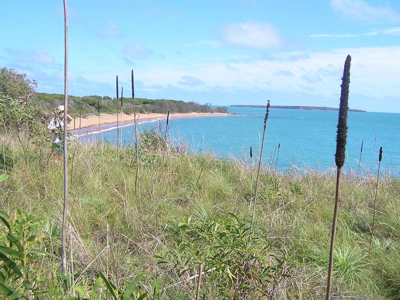 AVOID ISLAND Picture 1