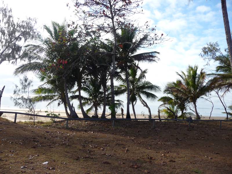 LIVE ON THE BEACH + 1 WEEKS FREE RENT!! Picture 2