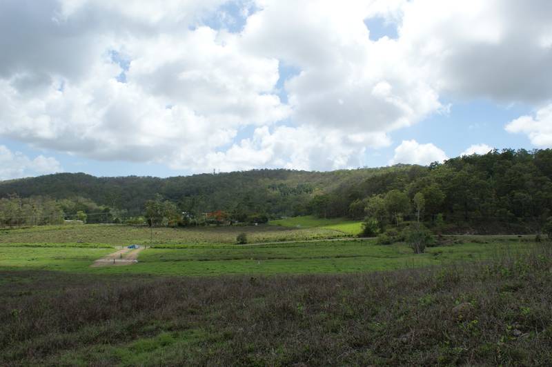 5 Acres Close To Town Picture 3