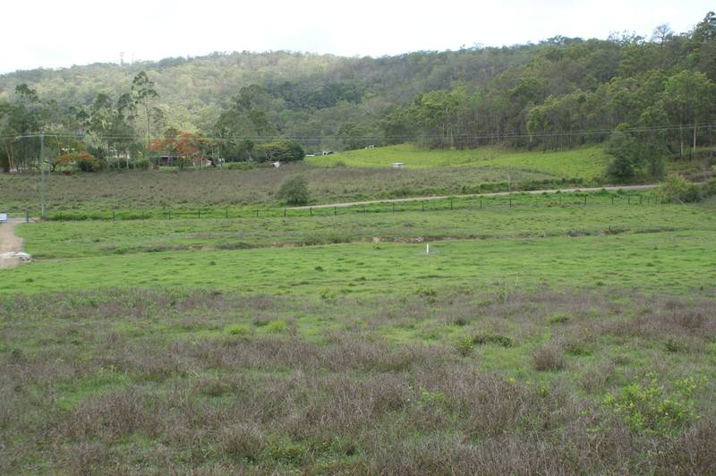 5 Acres Close To Town Picture 2