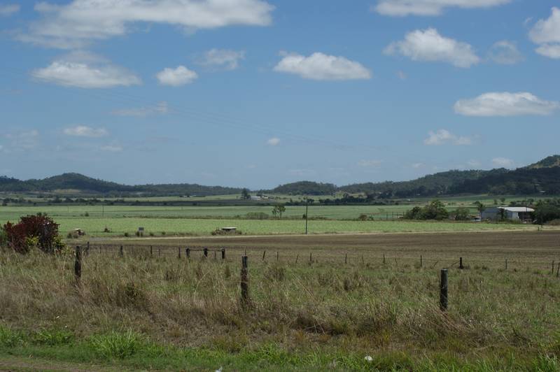 Living the Dream! Picture 2