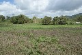 5.8 Acres Close to Sarina Picture