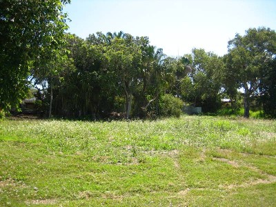 Build @ Grasstree Beach Picture