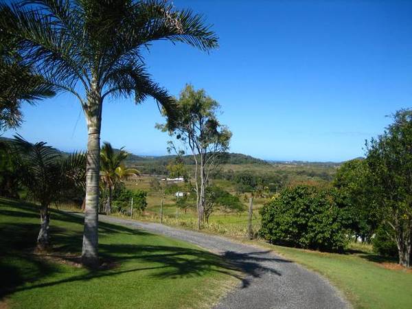 Hill Top Queenslander Picture 3