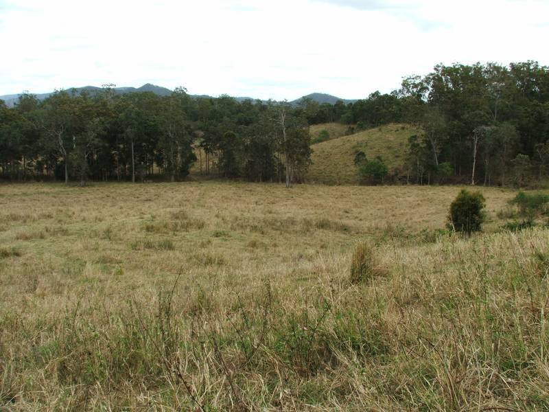 Starter Block Picture 3