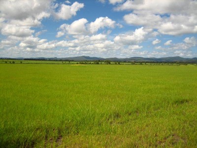 Make Hay While the Sun Shines Picture Make Hay While the Sun Shines Picture