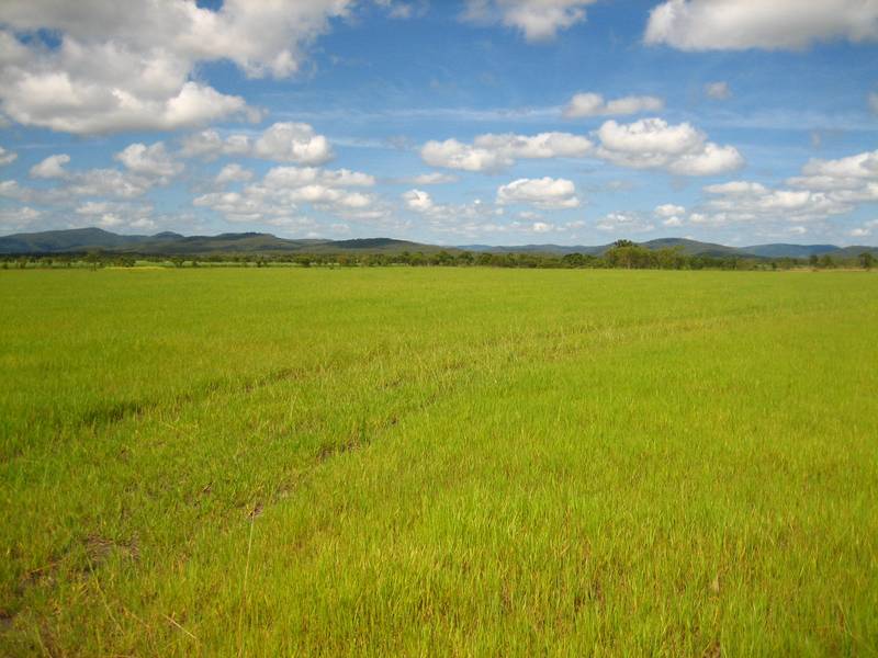 Make Hay While the Sun Shines Picture 2