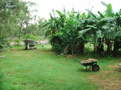 Strip Me, Fix Me! Picture Strip Me, Fix Me! Picture