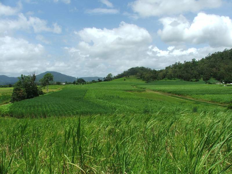 64.75 Ha of Country @ Sarina Picture 3