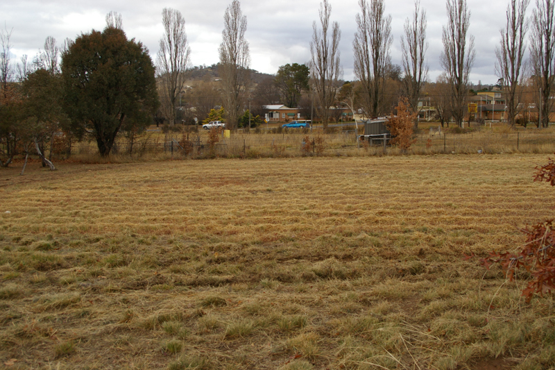 Level 1000m2 block Picture 1