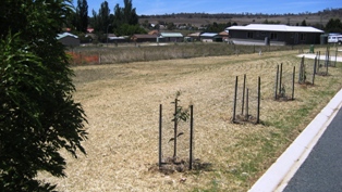 7 Lot Subdivision Picture 1