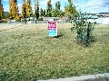 Approx 1157sm2 block of land in new subdivision. (1438) Picture