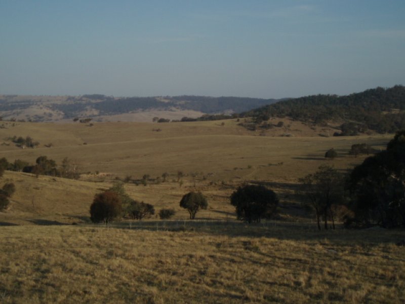 Approx 150 acres at Numbla Vale Picture 3