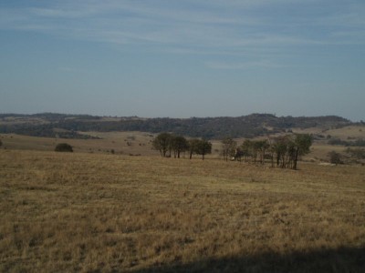 Approx 150 acres at Numbla Vale Picture