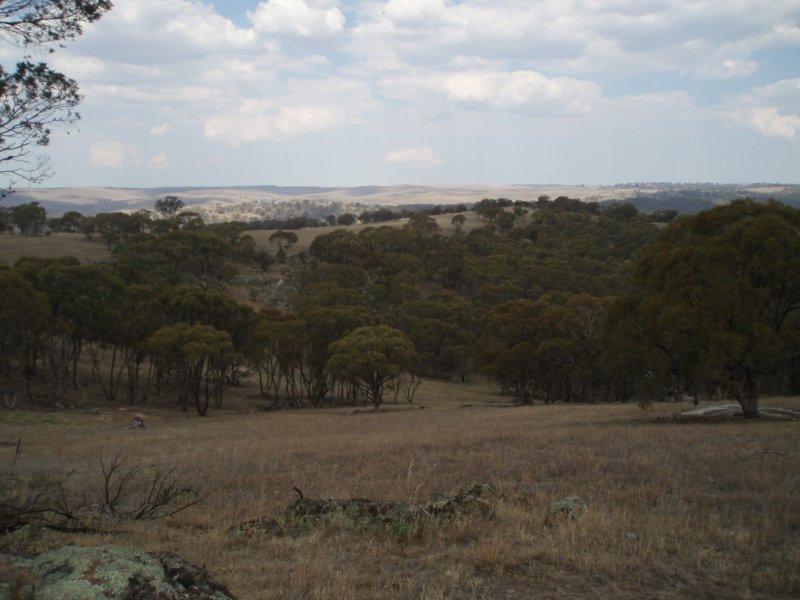 Approx 1630 acres of rolling hills with Snowy River Frontage
(1555) Picture 1