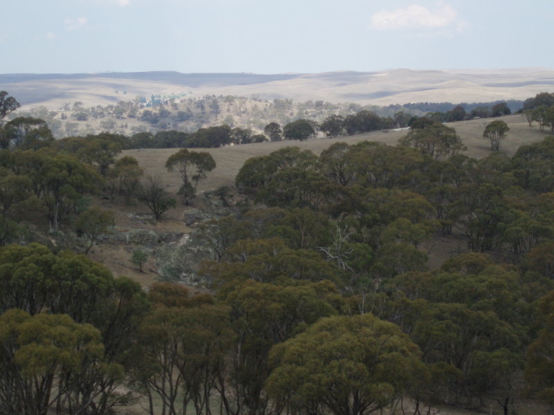 Approx 1630 acres of rolling hills with Snowy River Frontage
(1555) Picture 2