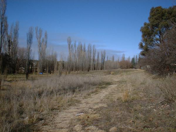 APPROX 2 ACRES Picture 1