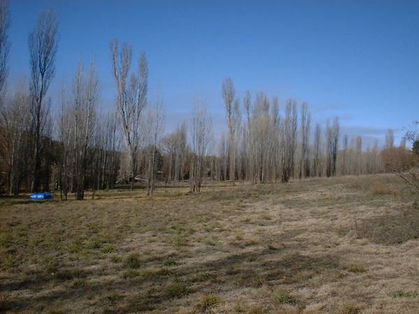 APPROX 2 ACRES Picture 2