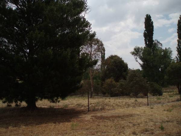 Approx 2.4 acres Picture 2