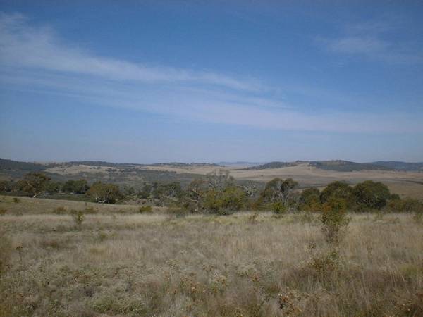 Approximately 340 acres just outside of Berridale Picture 2