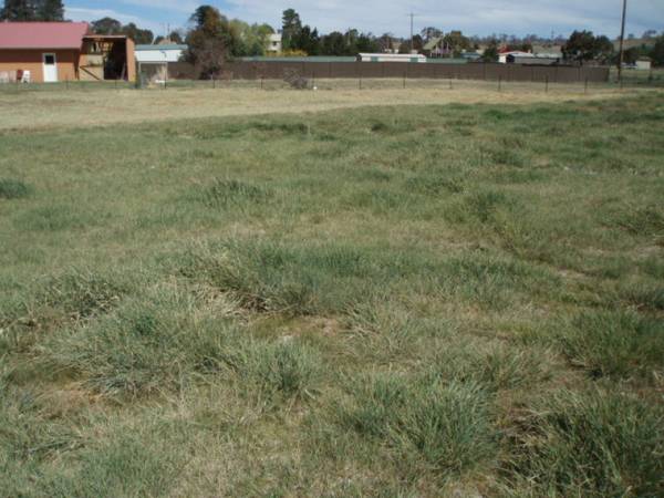 large block in Berridale Picture 3