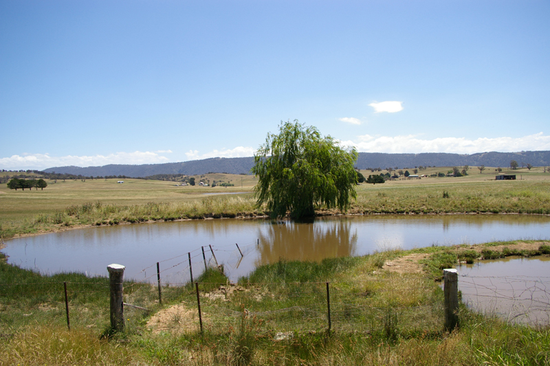 Rural lifestyle only 6kms from town reduced to $500,000! Picture 2