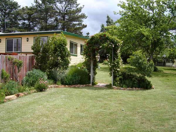 The Burrow Picture 1