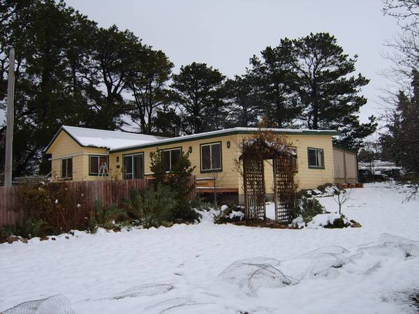 The Burrow Picture 3