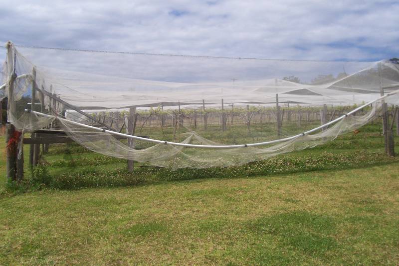 Endless Opportunities & Potential Picture 3