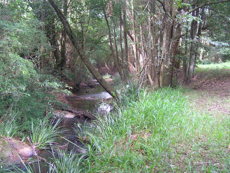 Peace & Private Reign Supreme Picture 3