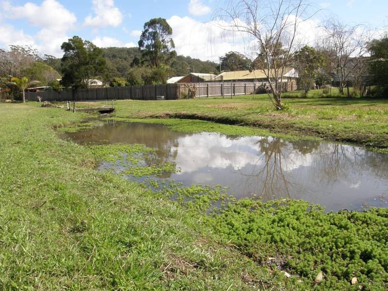 Now All You Need Are The Plans !! Picture 3