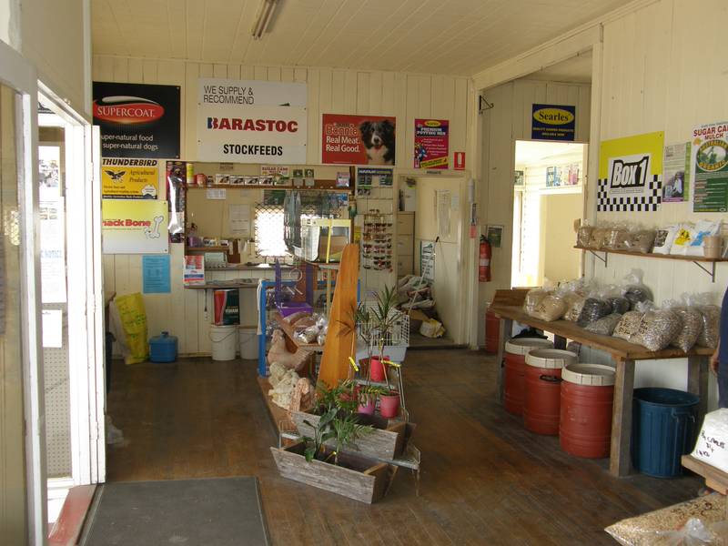 !! Dogs, Cats, Horses, Gardens, Produce, Produce And More Produce !! Picture 3