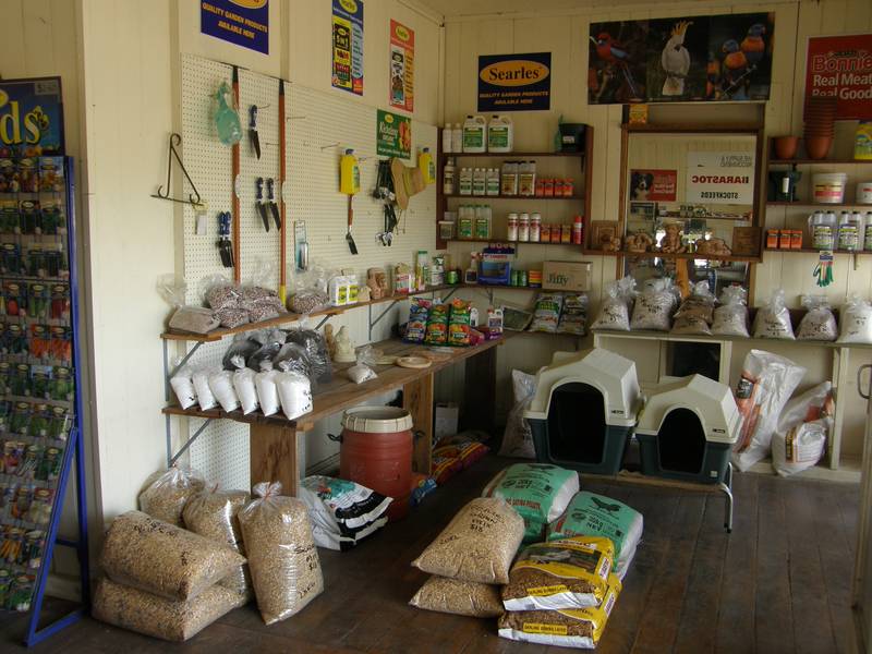 !! Dogs, Cats, Horses, Gardens, Produce, Produce And More Produce !! Picture 2