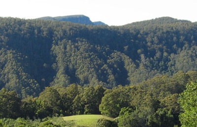 You Simply Can't Rush Perfection Picture You Simply Can't Rush Perfection Picture