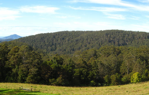 You Simply Can't Rush Perfection Picture 2