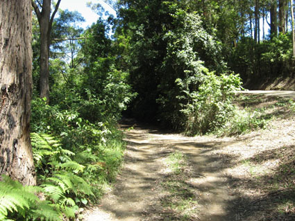 You Simply Can't Rush Perfection Picture 3