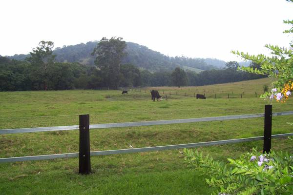 Kendall-Lorne Picture 2