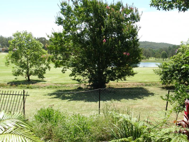 Flag This Fortune Picture