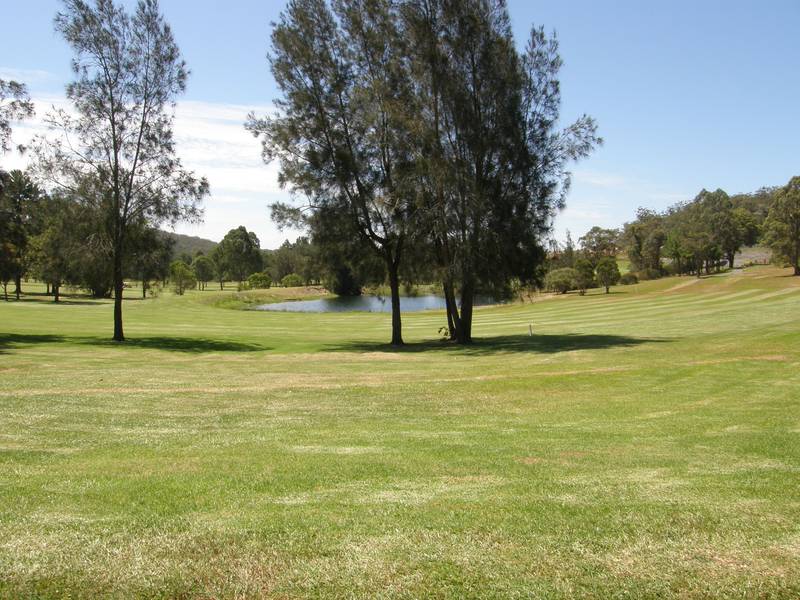 Flag This Fortune Picture