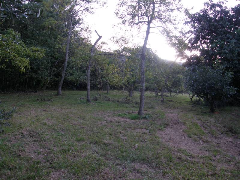 Masterpiece Potential Picture 2