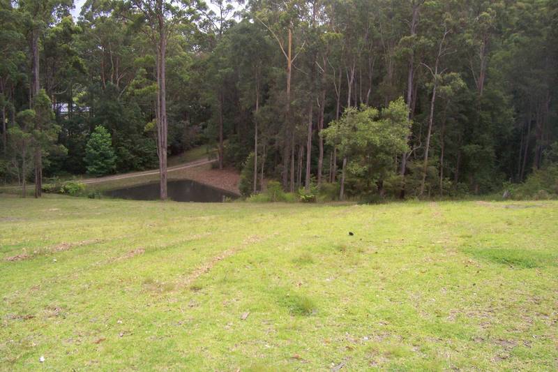 Immerse Yourself In The Peace and Tranquility Picture 3