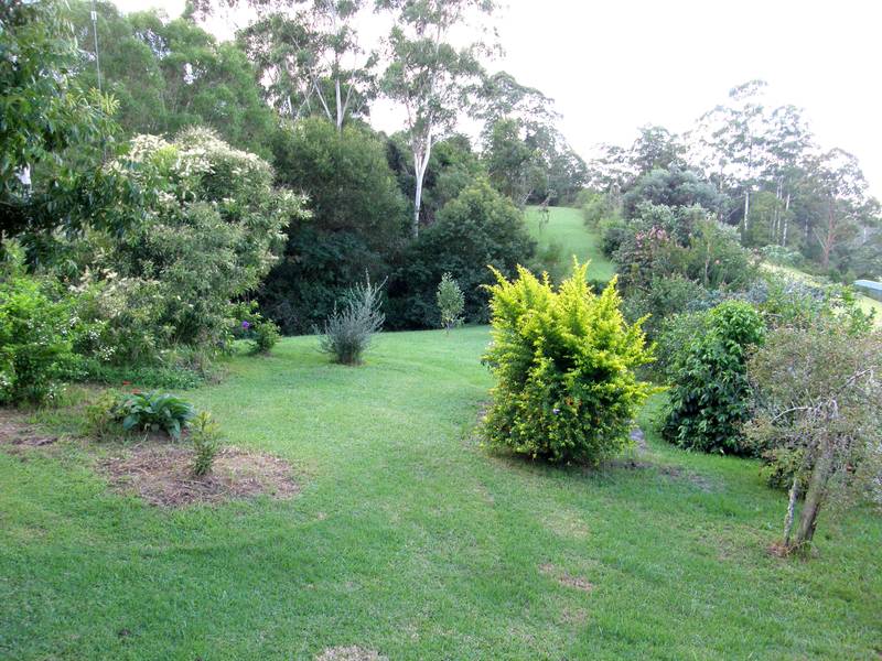 Rural Bush Retreat Picture 2