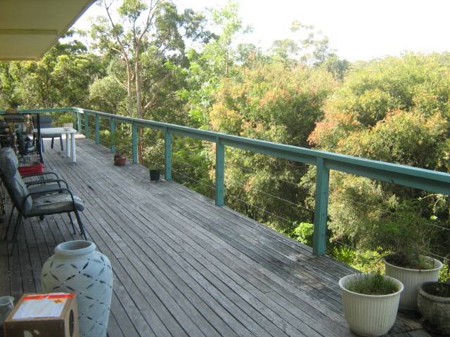 As Scarce As Hen's Teeth Picture 2